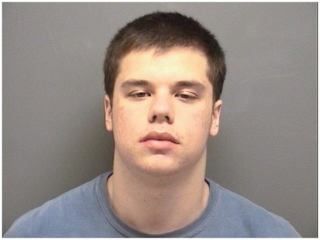 David Bognar, 19, of Darien was charged with driving while intoxicated and evading responsibility. 
