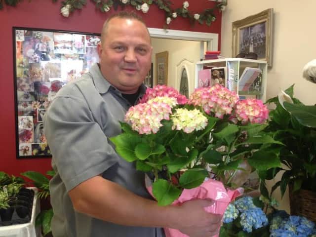 Carl Weinberg, owner of Bed of Roses in Yonkers, shows off some of his spring hydrangeas. 