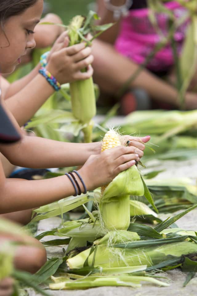 A corn-shucking contest will be part of the CORNucopia festival. 