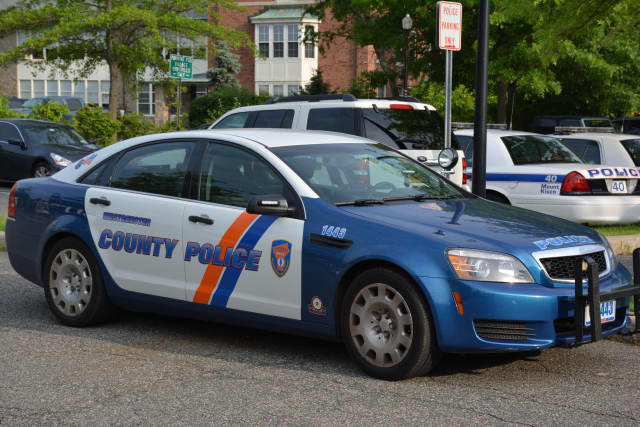 Westchester County Police have charged a 20-year-old Mount Kisco man with assault and criminal mischief following an alleged dust-up at his St. Marks Place home Friday. Two officers were slightly injured while making the arrest.