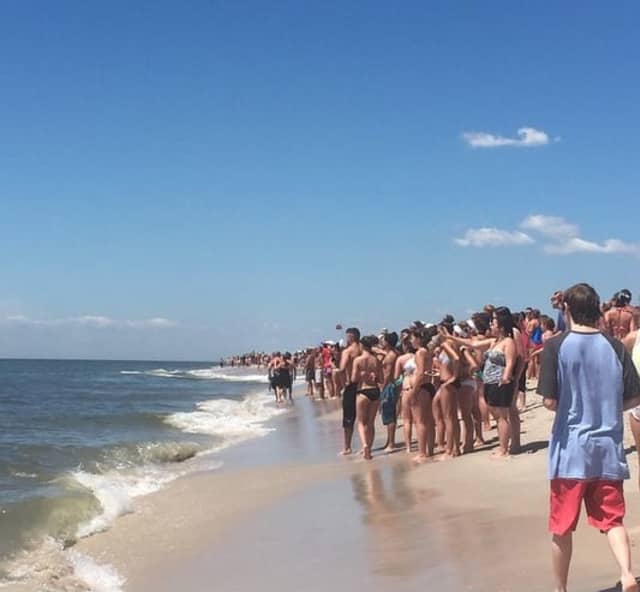 Shark Sightings Lead To Beach Closure On Long Island