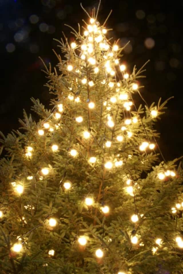 The Hastings Christmas tree will be lit Friday night.