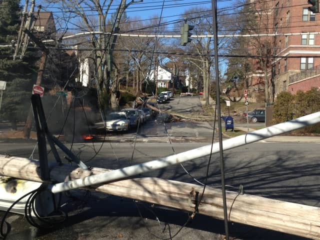 A tree fell on Alden Road in Larchmont Thursday morning