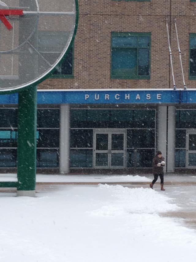 A lone student walks through the mall at SUNY Purchase. A newly endowed fund, set up by the family of the late journalist Peter Keller, a longtime New Rochelle resident, will help students studying journalism, history, and the humanities.