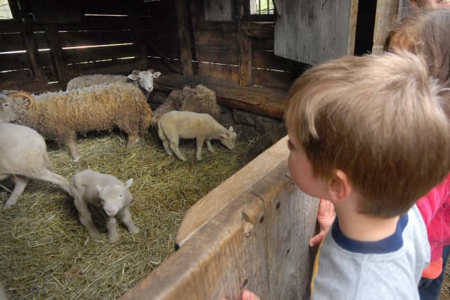 Historic Hudson Valley begins its spring season this weekend with the  Sheep-to-Shawl Festival at Philipsburg Manor.