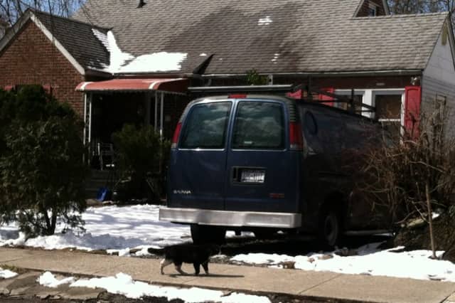 A cat walks along Bretton Road in March. A $1,000 reward has been offered for information regarding the death of at least five cats in the area. 