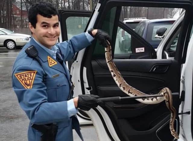 New Jersey State Trooper Steven Vallejo rescued a python from the Garden State Parkway.