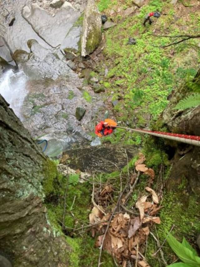 A Hudson Valley woman has died after she reportedly fell while hiking in the Catskill Forest Preserve.