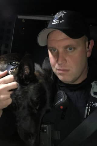 Beloved Pennsylvania K9 Officer Dies