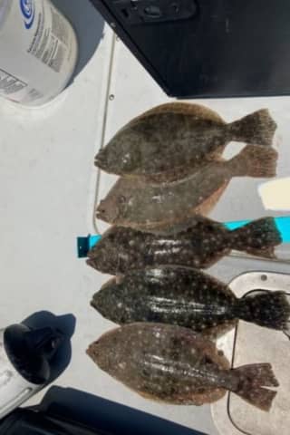 Undersized Fish Discovered On Two Different Boats On Long Island, DEC Says