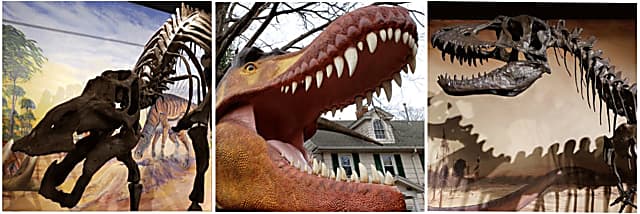 Separate Drive Thru Dinosaur Exhibits Roaring In Suffolk Nassau Suffolk Daily Voice