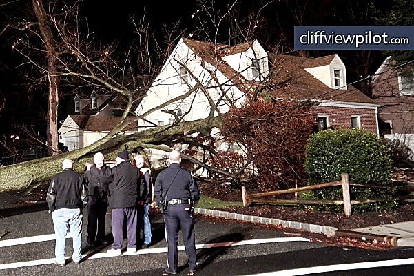 Tree Outside Hillsdale Mayor S House Crashes Into Neighbor S Home Pascack Valley Daily Voice